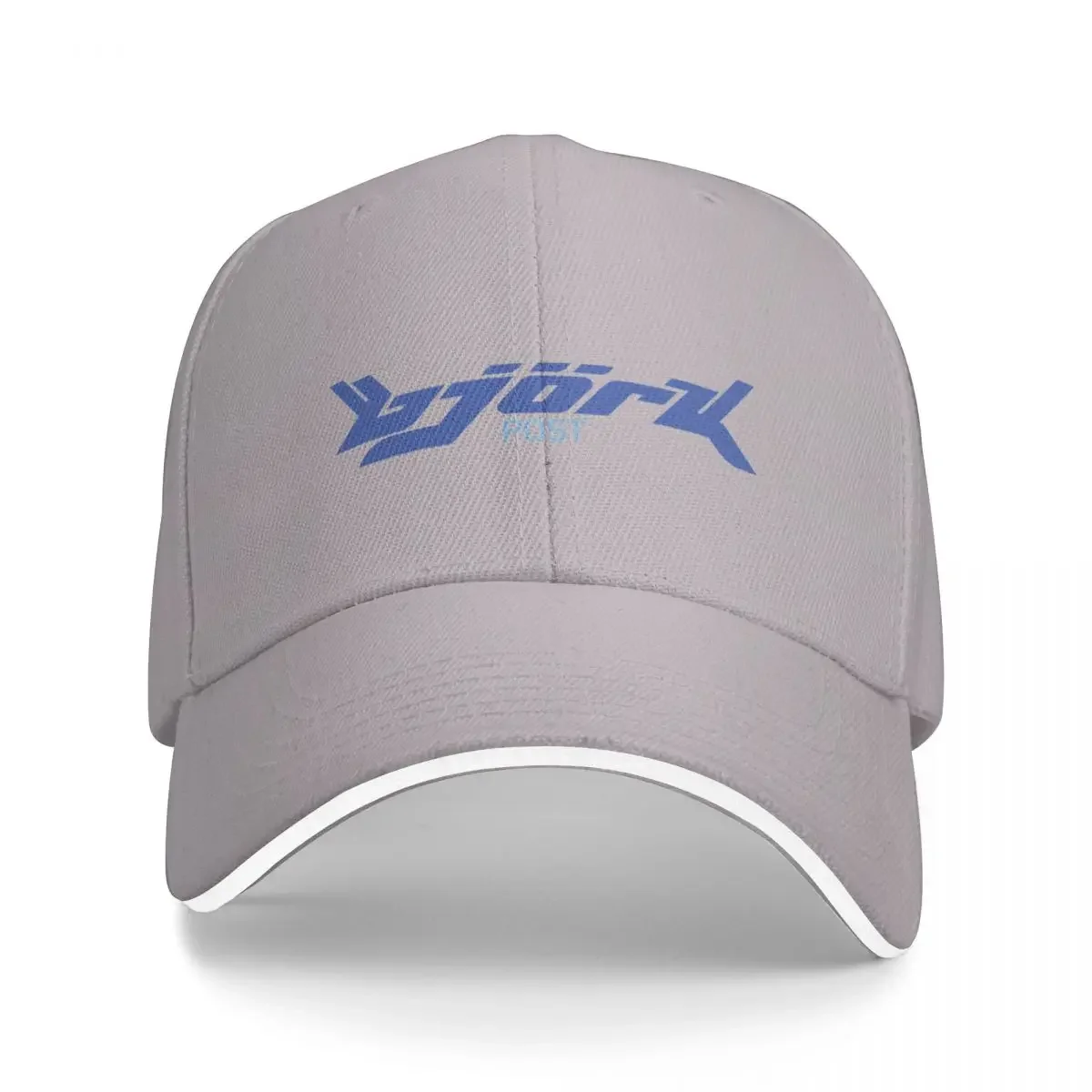 Bjork Post Vintage Logo (Blue / Light Blue) Cap Baseball Cap Military cap man hat for man Women's