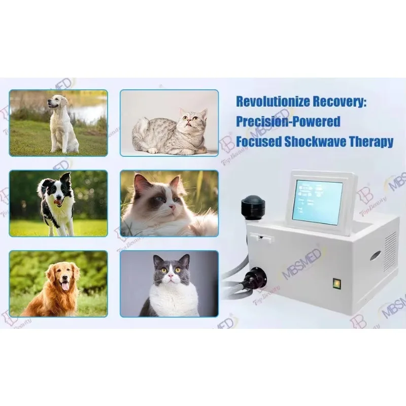 FSWT Shockwave Machine Vet Focales Focused Shock Wave Therapy Machine Plantar Fasciitis Erectile Dysfunction Treatment - view 6