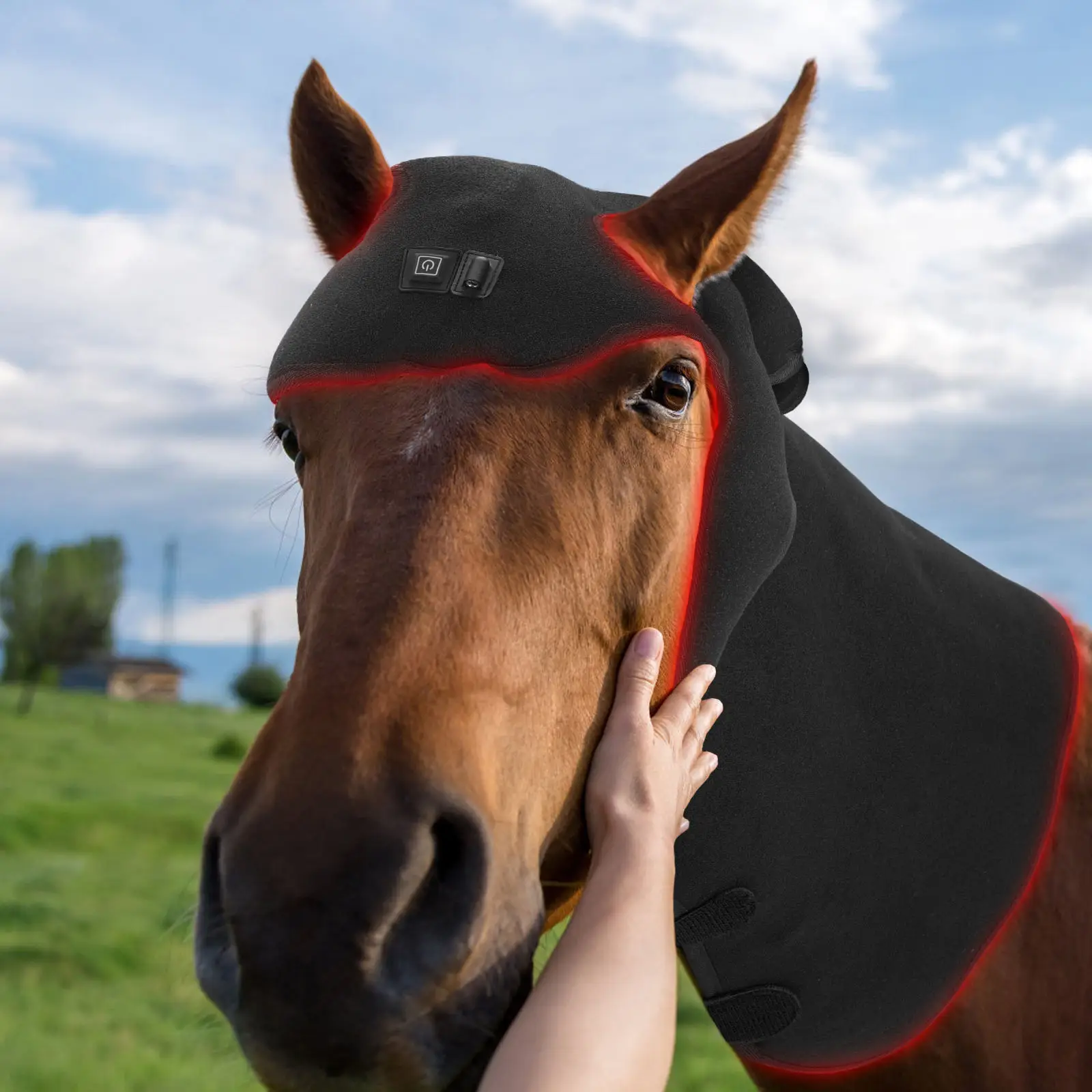 Wearable Red Light Therapy Wrap Horse Head Neck Injury Fracture Recovery Device