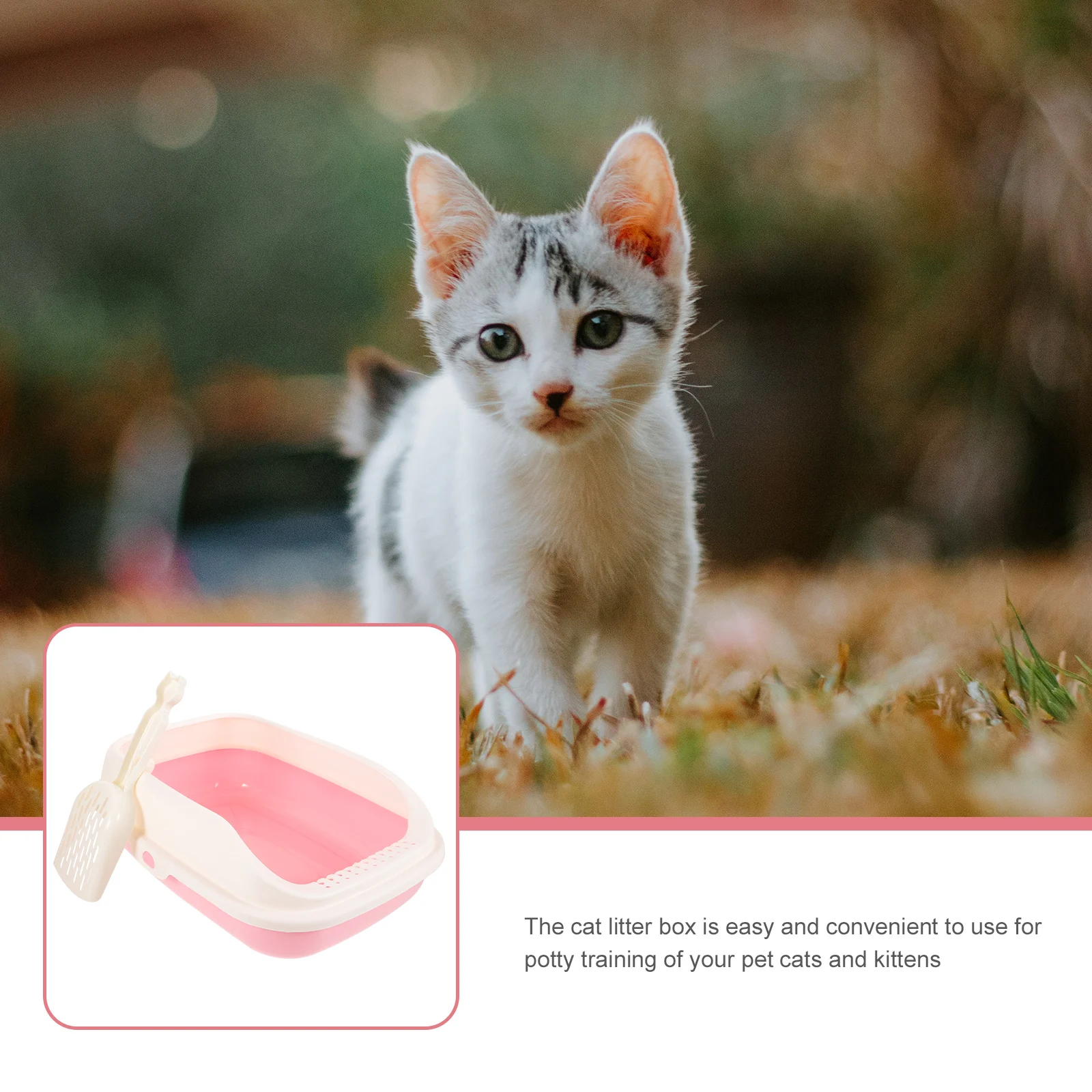 

1 set Portable Cat Litter Box Small Pink Plastic Pan 40x28x13cm Open Design Easy Cleaning Cat Toilet Kittens Pet Supplies
