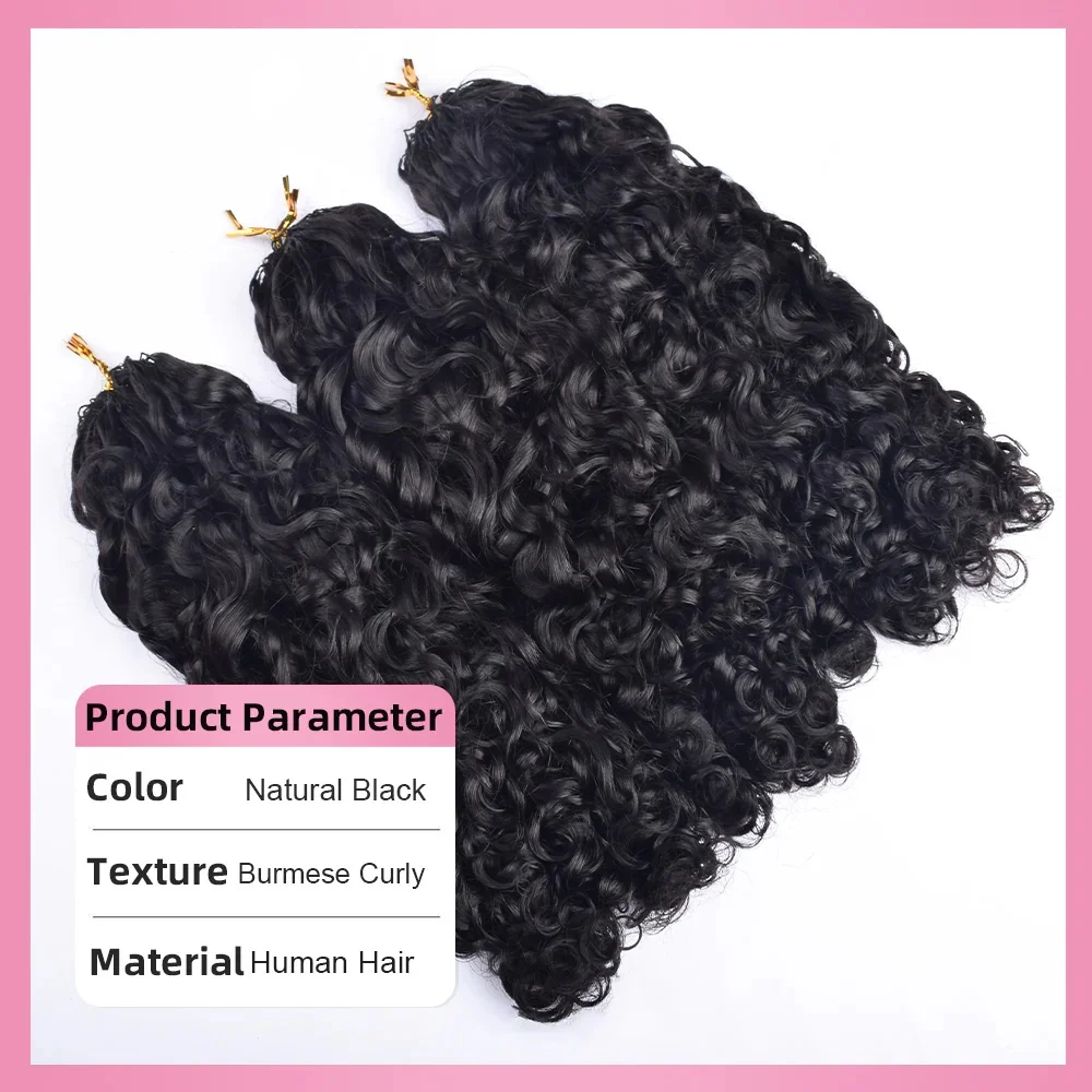 Soft Feather Crochet Human Hair Extensions Pre-looped Twist Braids Invisible Natural Appearance Hair Weave For Daily Use