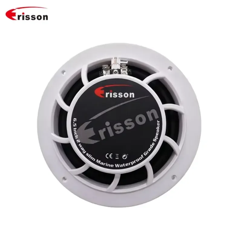 STLF Factory Slim RV 6.5 Inch Plastic Marine Speaker 50 Watts Waterproof IPX6 Made in Guangdong for Boat Camping Vehicle