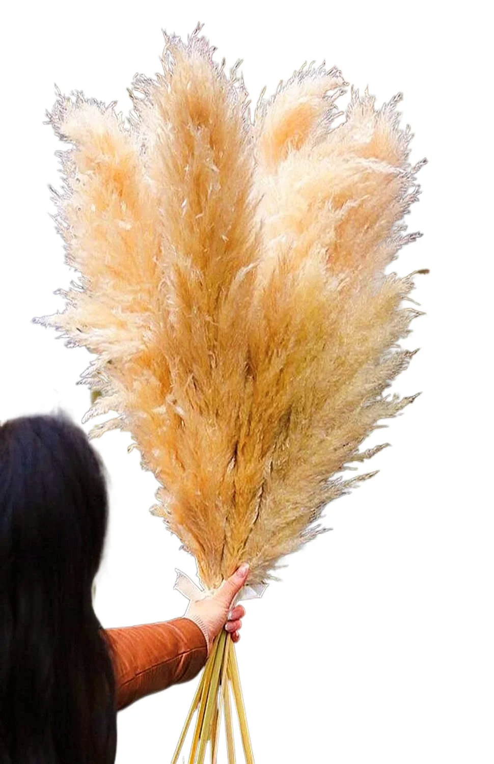 

High Fluffy Millet Color Home Wedding Decoration 45-120 Cm Natural Artificial Dried Flower Pampas Grass