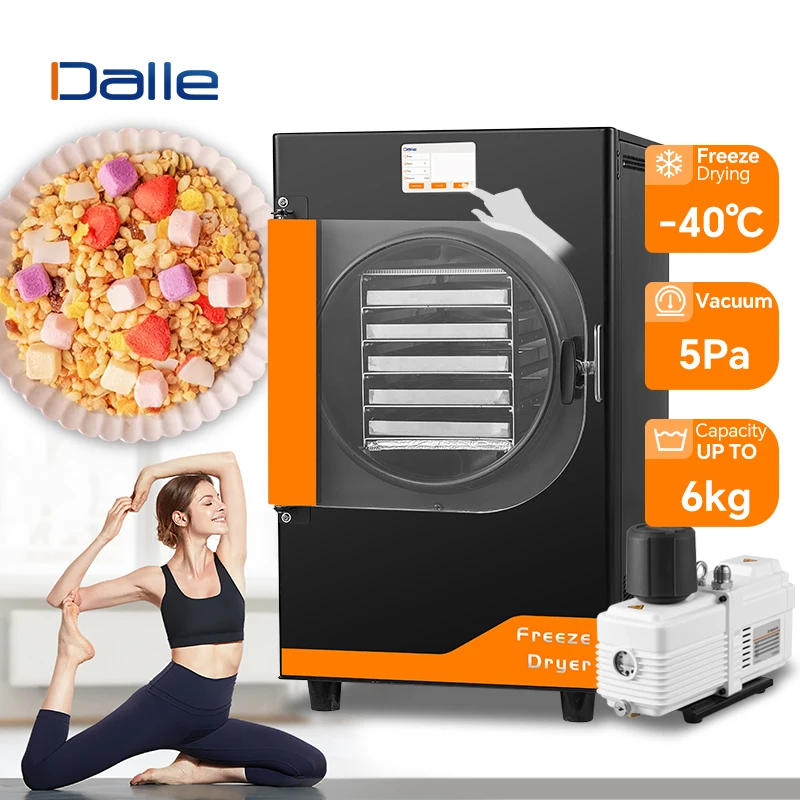

DALLE High Quality 4kg 6kg Home Use Freeze Dryer Automatic Vacuum Freeze Dryer with Pump for Food Processing