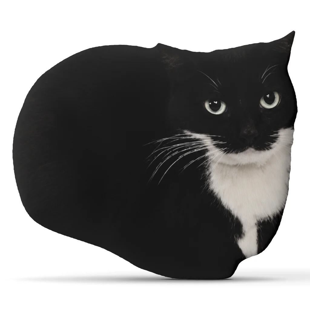 Maxwell the Cat Meme Plush Pillow Cushion Irregular Stuffed Throw Pillow Home Decor Gift Sofa Bed Couch