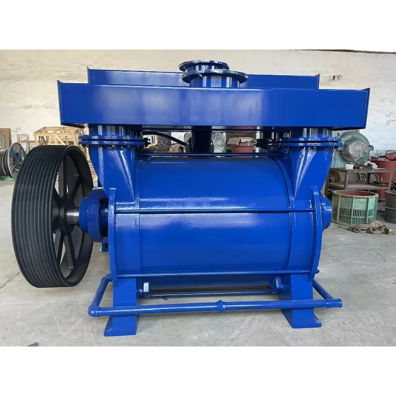 Picture 4: 2be Series Liquid Ring Vacuum Pump NASH Water Ring Vacuum Pump