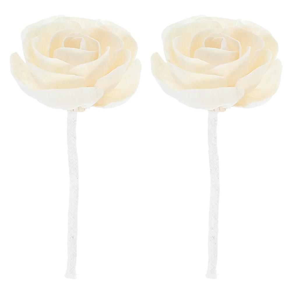 2Pcs Flower Diffuser Essential Oil Vines Floral Wick Scented Oil Reed Diffuser Sticks for Home Office Room Fragrance
