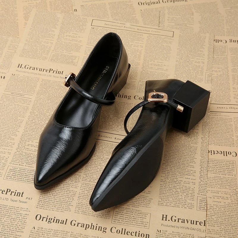 

2025 new Designer Vintage Pointed Toe Women Mary Jane Shoes Fashion Shallow Buckle Shoes Ladies Elegant Dress Thick Heel Shoes