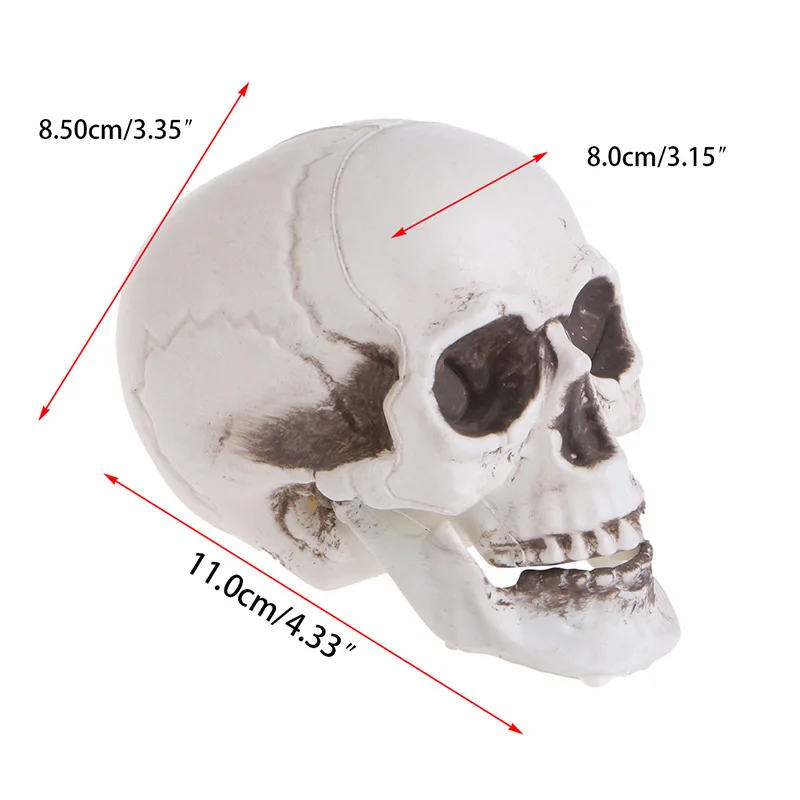 Plastic Human Mini Skull Decor Prop Skeleton for Head Halloween Coffee Bars Orna