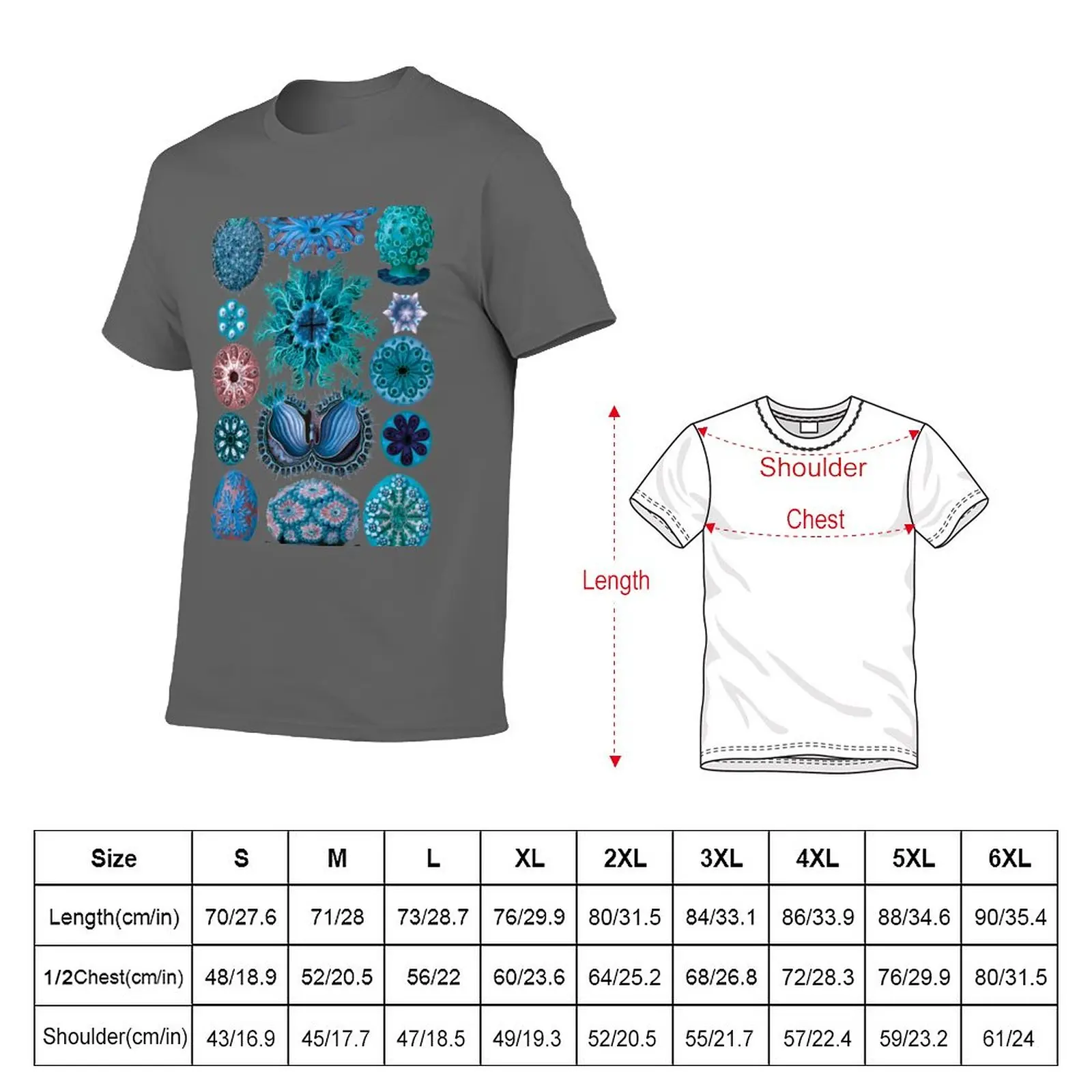 New Ernst Haeckel Ascidiae Sea Squirts Teal Colorway T-Shirt Oversized t-shirt graphics t shirt tshirts for men