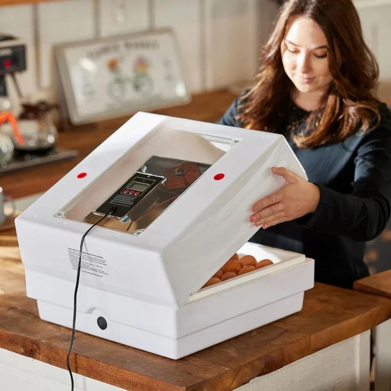 Fast shipping.Egg Turning and Humidity Control, 41 Egg Capacity Series Digital Circulated Air Egg Incubator with Automatic