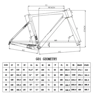 ADDICT-STRUPTRUISE OF ROAD IN CARBON WITH FORM, EMPGE, EARFRER, BRANADE, ARELOVE, ULTRAPHY, MODEL T1100, RC, NEW DESIGN, 2022 8 Main Sales Framework - №6