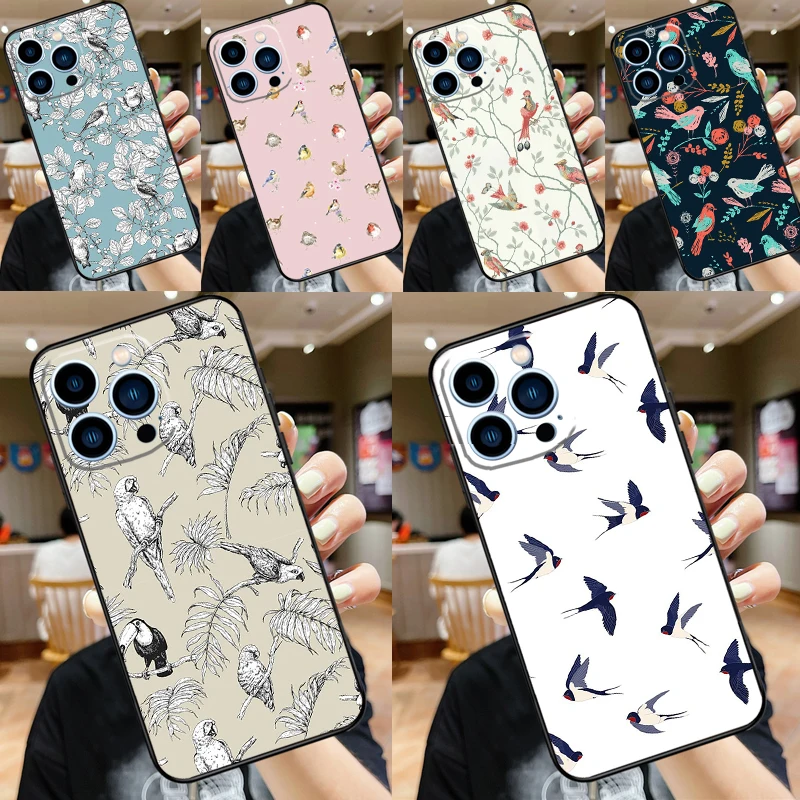 Birds Flock For One… - image