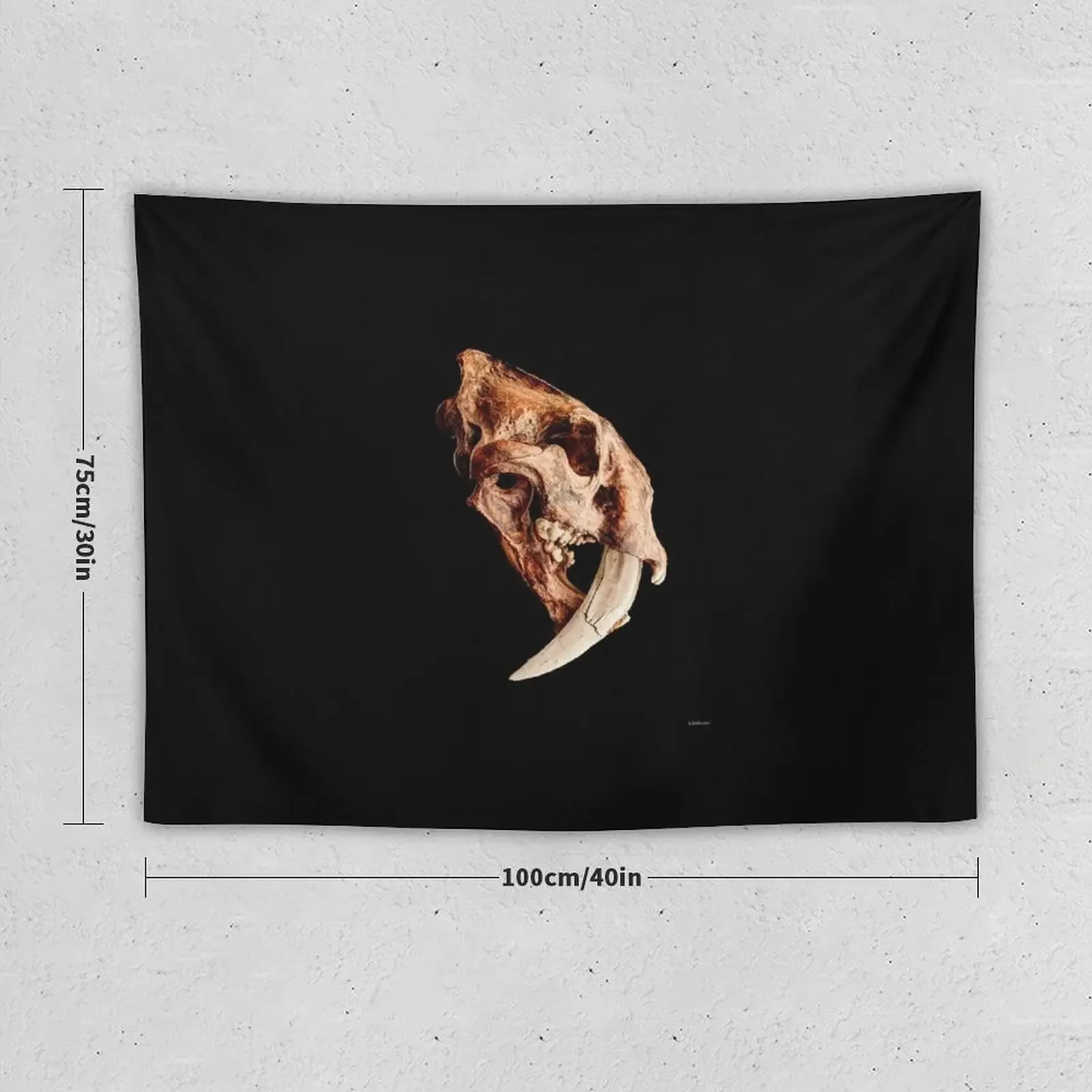 Smilodon fatalis Skull 1 Tapestry Bedrooms Decor Decor For Bedroom Room Decorations Aesthetics Home Decor Aesthetic Tapestry