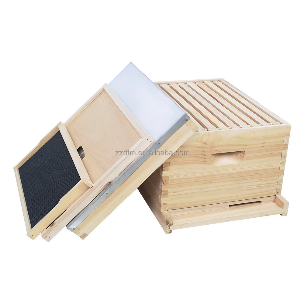 

2026 High-Quality Eco-Friendly Wooden BeehivesNew Cheap Wood Langstroth Beehive Deep One Layer 10 Frame Bee Hives Box with Acces