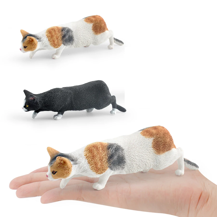 Realistico simpatico gattino pigro pastorale gatto Wirehair modello di gatto figure ornamento per la casa collezione creativa di decorazioni per il desktop giocattolo per bambini