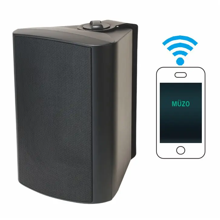 wall Active WIFI speaker 20W to 60W Built-in power amplifier and wireless WIFI Blue-teeth player