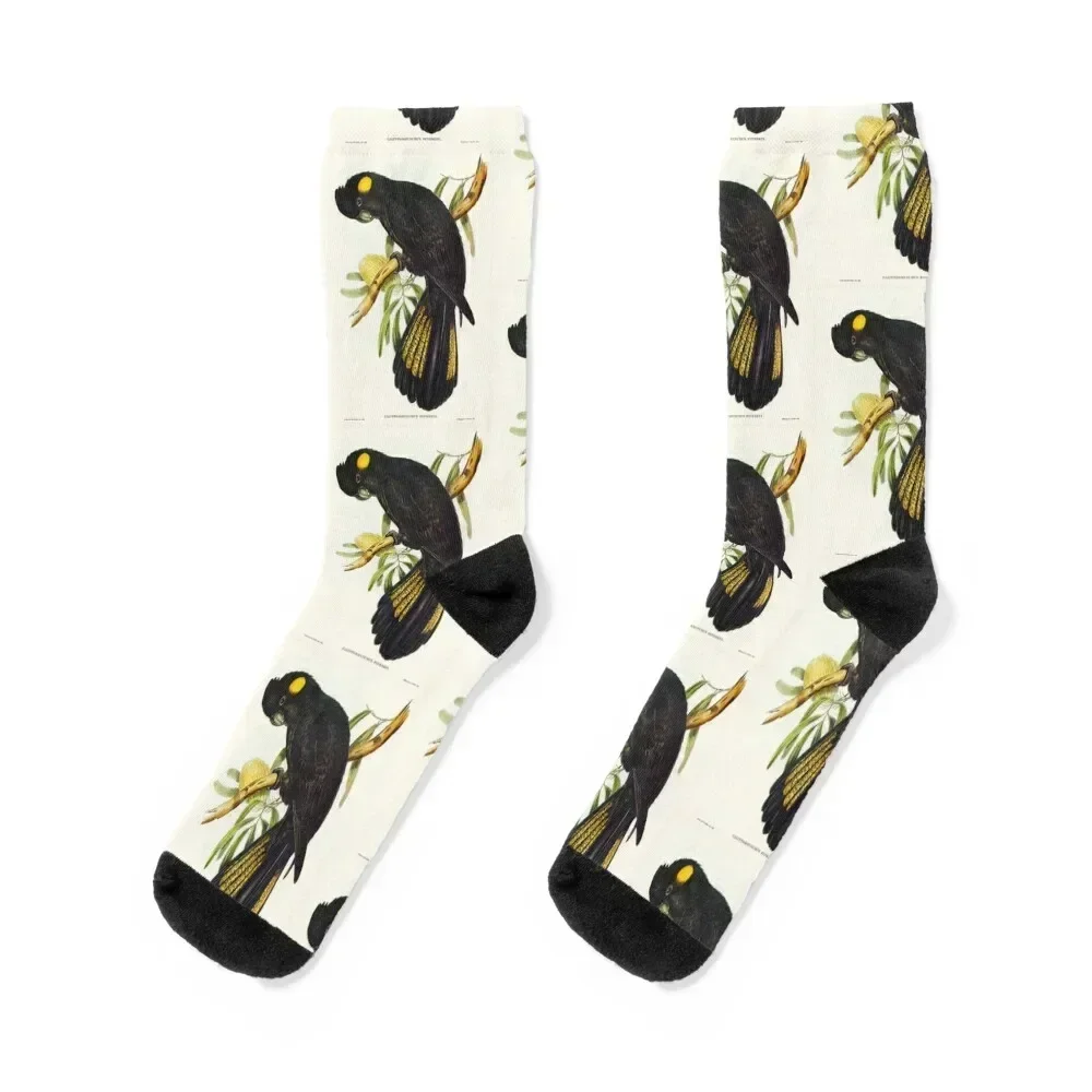 

Black Cockatoo Socks floor retro winter Hiking boots Designer Man Socks Women's