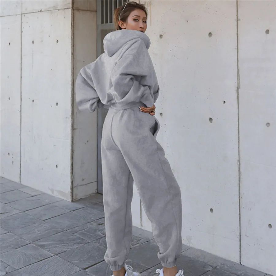 Women Sports Two Piece Sets Hoodie Trousers Solid Color Hooded Pants Outfits Sweatshirt Suit 2024 Autumn Winter Tracksuit