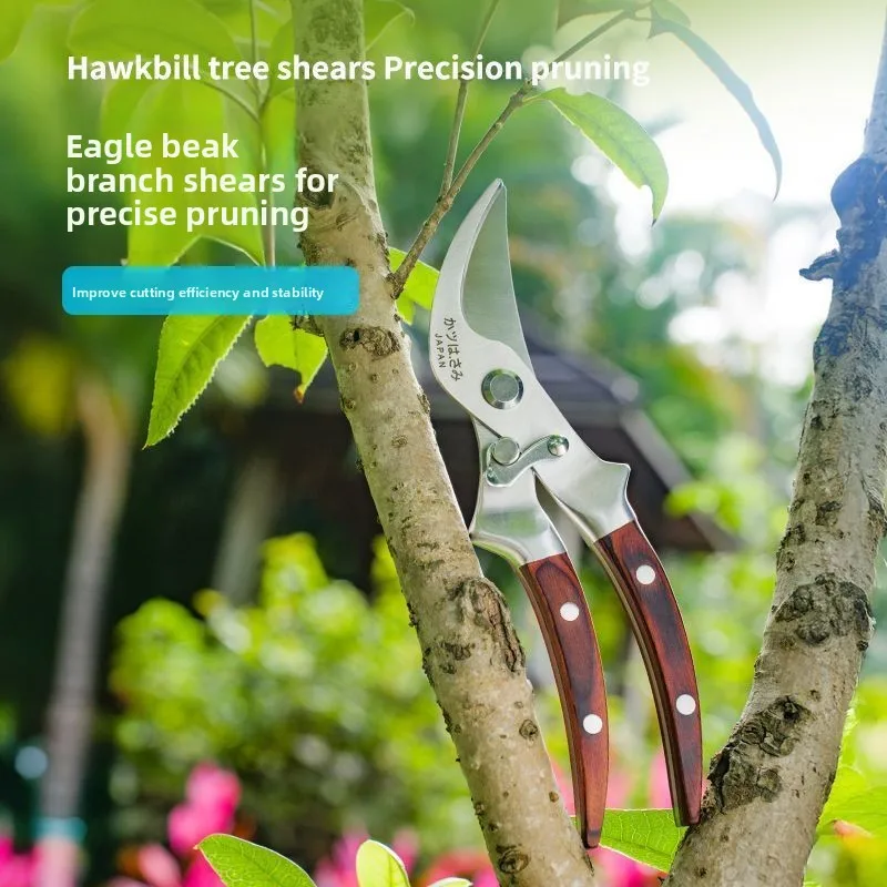 مقصات التقليم، ماكينة تشذيب يدوية للحديقة المنزلية، خفيفة الوزن، مقبض مريح، متينة، تصميم منقار مقص فولاذي بالكامل #1