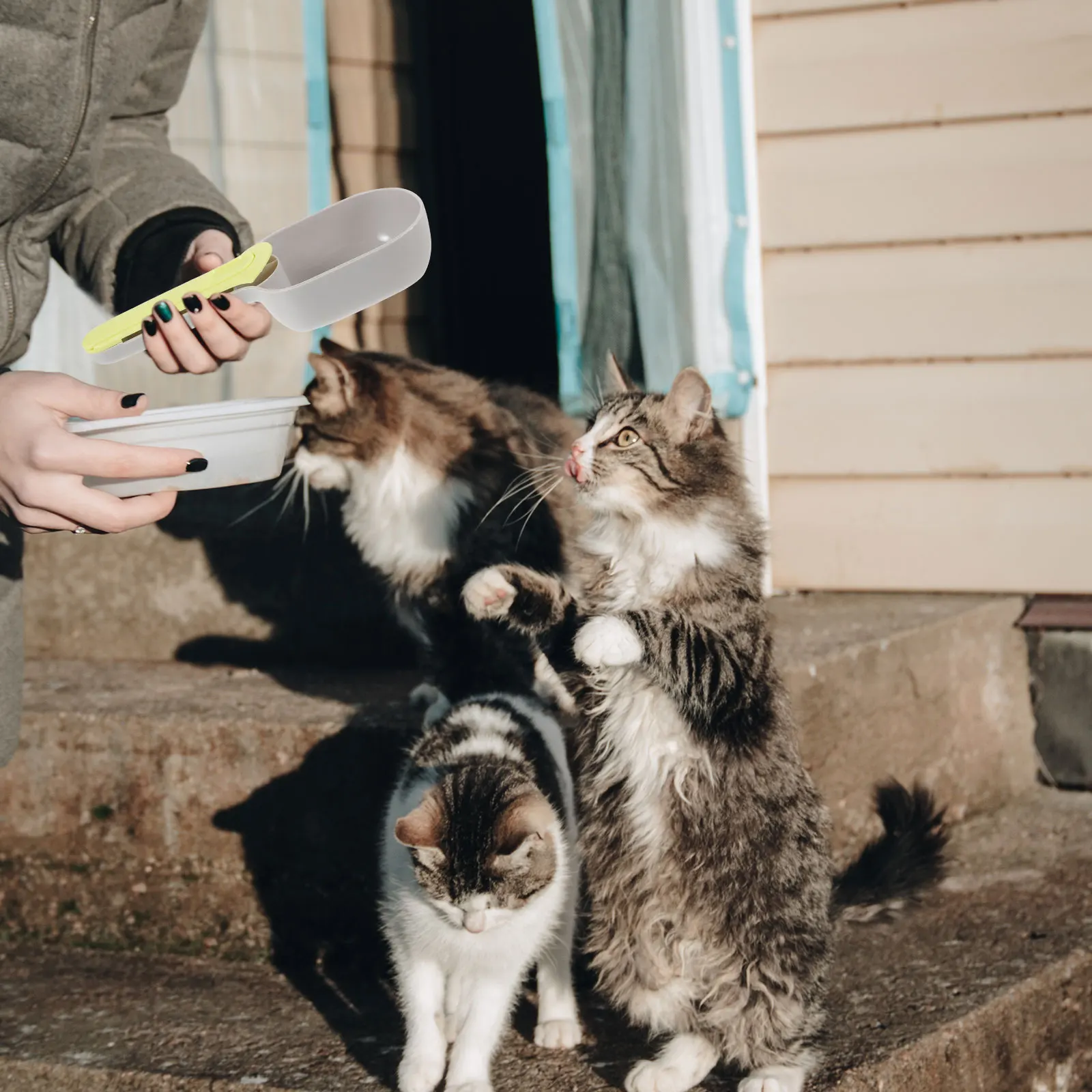 

Pet For Dog Cat Multifunctional Plastic Feeding Spoon Durable Small Mini Spatula Pet Scoop Tool Dog Food Scoop Cat Food