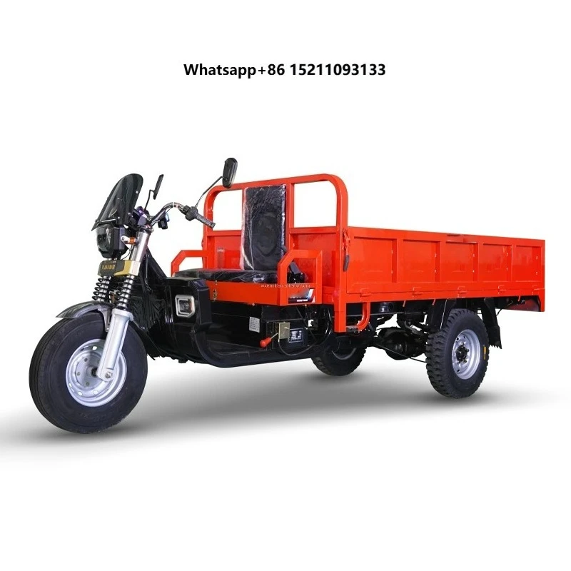 Manufacturer High power 3 Wheel Electric Cargo Tricycle for Transport Cargo