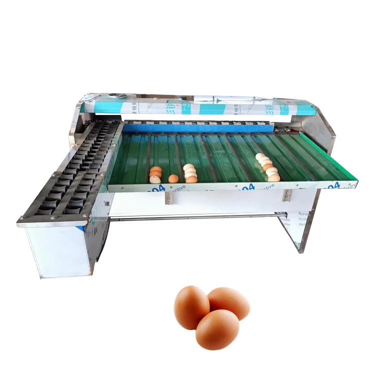 Industrial Stainless Steel Egg Weight Grader Egg Grading Machine 7 Level Chicken Farm Egg Sorting Machine