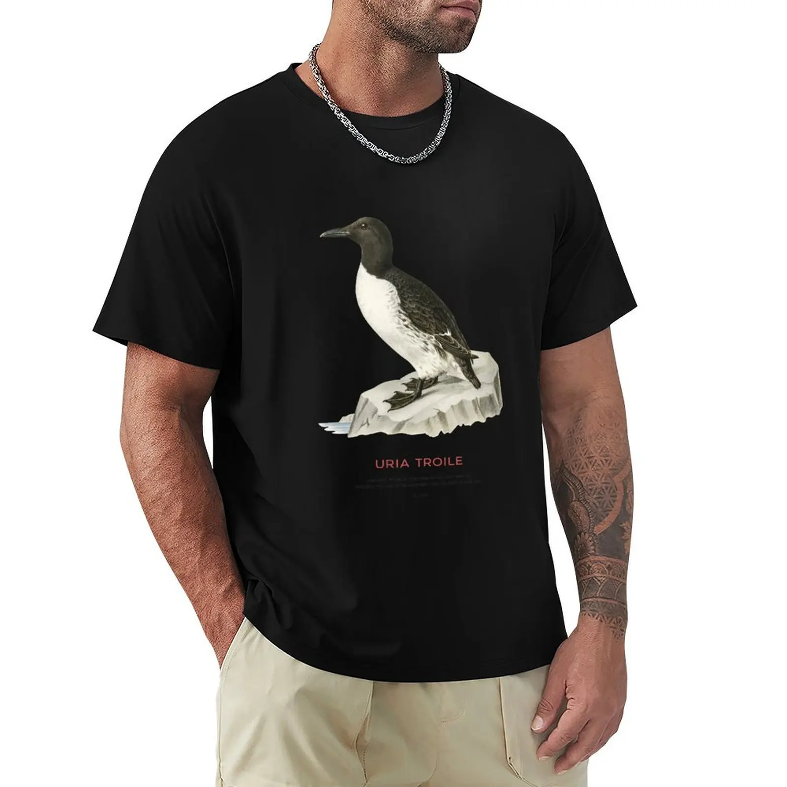 Camiseta Casual Utilitária Common Murre ou Uria Troile