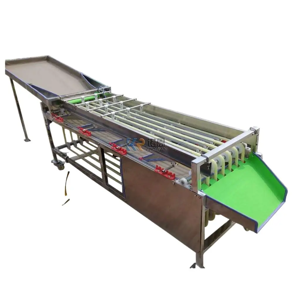 

2T/H Industrial Large Size 2M Date Blueberry Sorting Machines High Efficiency 7 Channels Fruit Vegetable Grading Machine