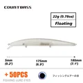 Blank Lure With Eyes