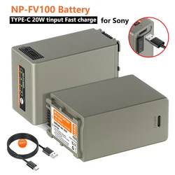 NP-FV100 FV100 Battery Type-C Charging Input for Sony NP FV100 HDR-CX700E PJ50E 260E NP-FV30 NP-FV50 NP-FV70 FV90 FV120 NEX VG20