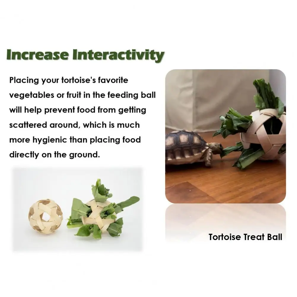 Fun Eating Experience for Small Turtles Turtle Mini Skateboard Turtle Training Set with Fruit Vegetable Feeding Ball for Small