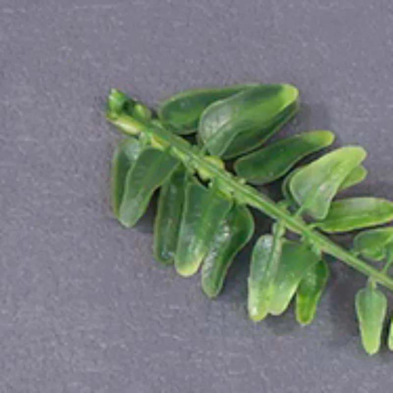 2 متر حبل ماص للماء الفينيل فيلم الباب الزجاج الأمامي ستوكات القماش تجفيف أداة السيارات نظيفة نافذة غسل الملحقات