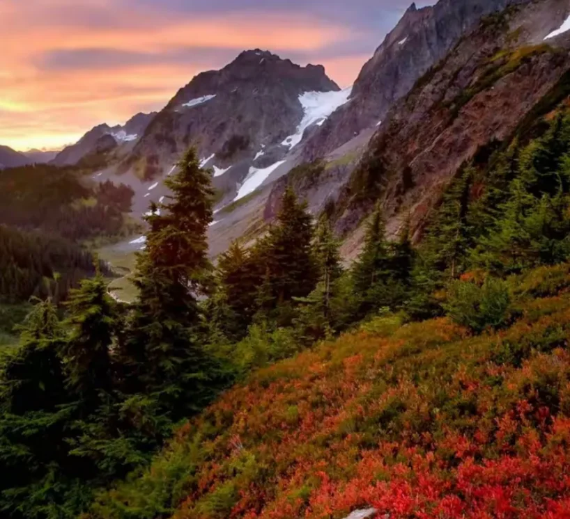 

Радиоуправляемая машина 9308E в масштабе 1:18, высокоскоростной электрический внедорожник с 4WD, гусеничный симулятор 40+ км/ч с перезаряжаемой батареей для взрослых