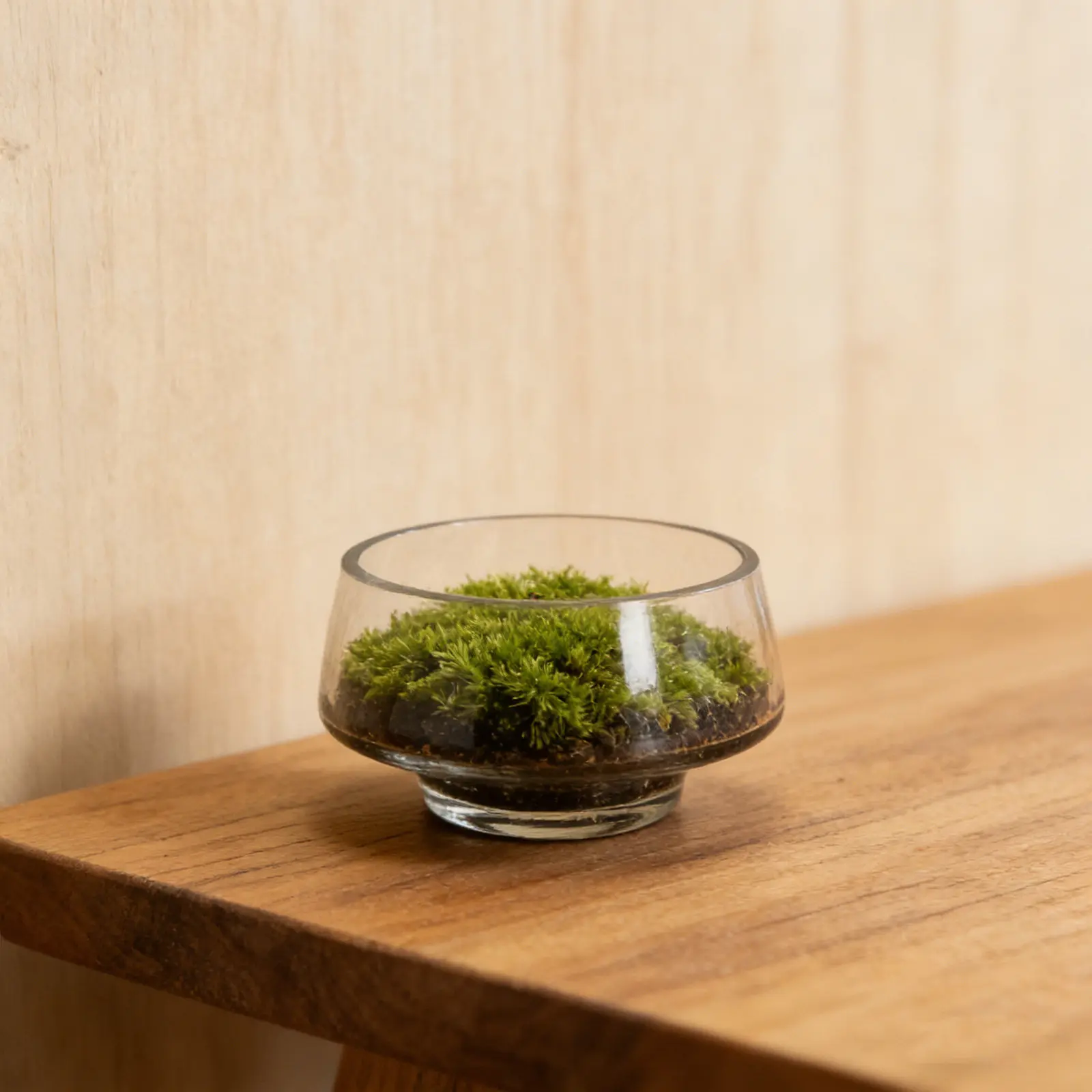 

Desktop Glass Terrarium with Large Diameter - Handcrafted Clear Mossarium Bottle for Creative Landscape Container - Office Plant