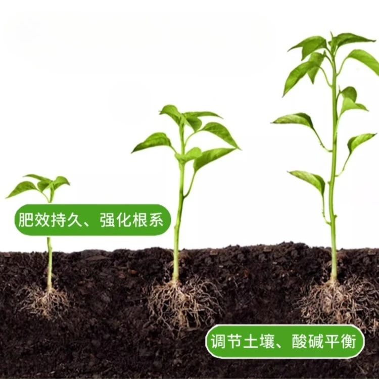 250 جرام سماد حمض زهرة الكبريتات الحديدي الأسمدة العامة زهرة الياسمين الأسمدة الحديدية رودودندرون غاردينيا الأسمدة الخاصة