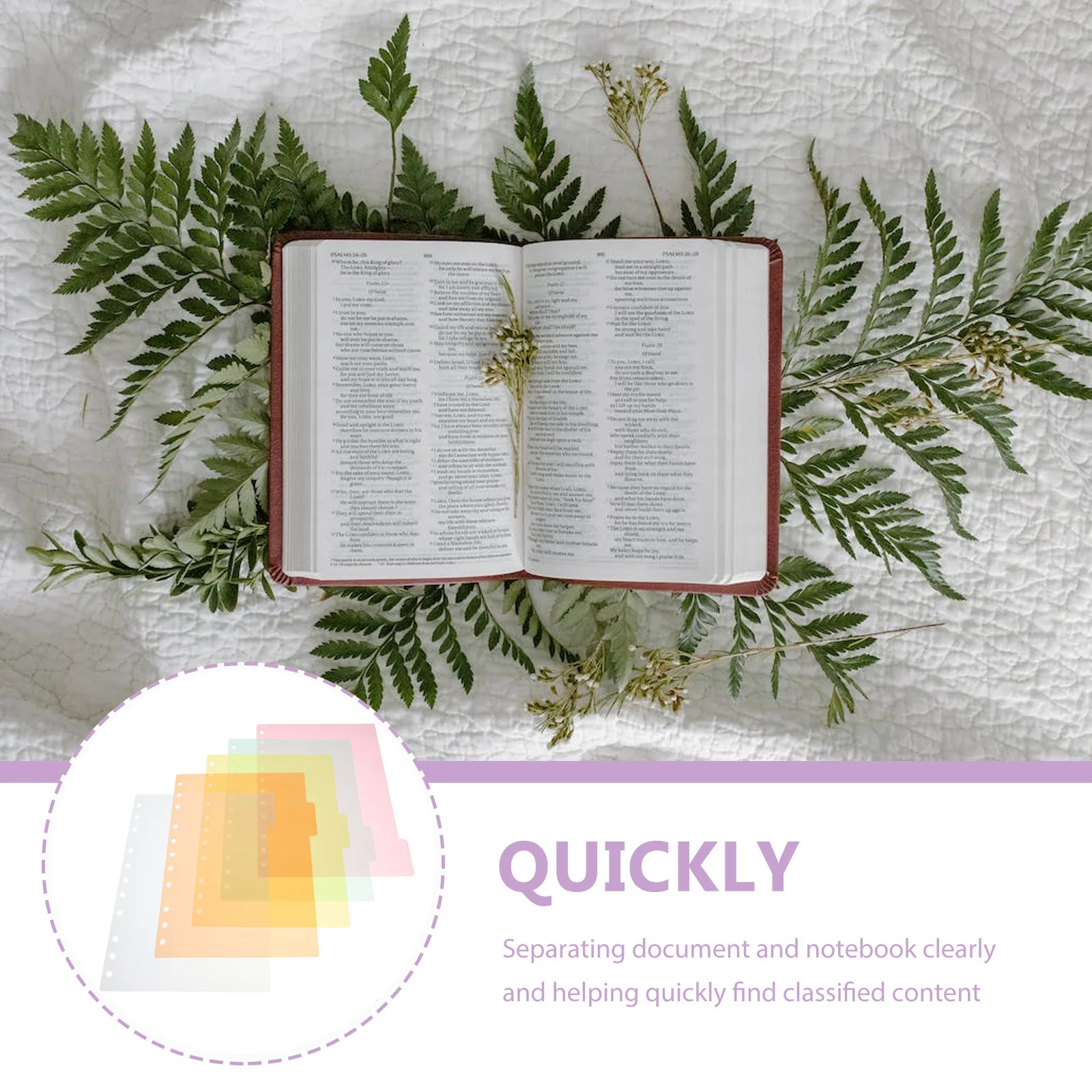 

Plastic Binder Notepad Divider Tabs Index Classified Labels Office Page Markers Notebook Tab Dividers Clear File Separators