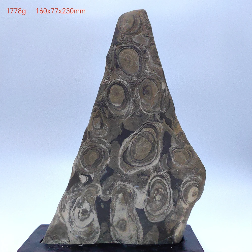 

Reiki Asian Natural Stones Room Decoration Rough Stone Veined Home Decorations Rock Meditation Piedras Decorativas Cadeau Homme