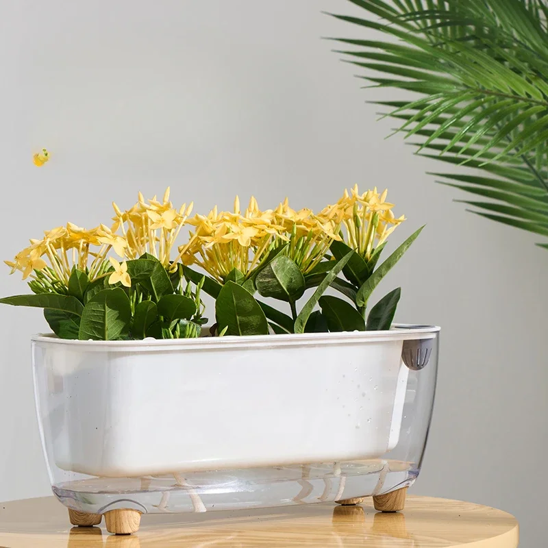 Rectangular Transparent Basket Water Storage Basin Automatic Self-priming Hydroponic Flowerpot Container Balcony Planting 선반