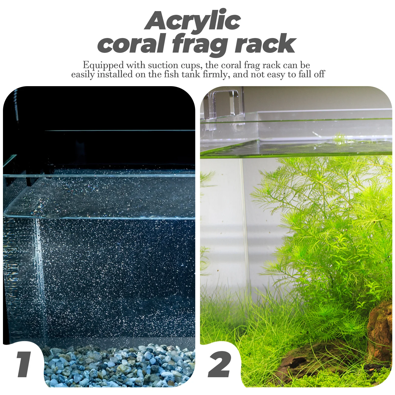 

Acrylic Clear Coral Rack Suction Cup Coral Support Stand Fish Tank Holder Aquarium Accessories Aquarium Shelf