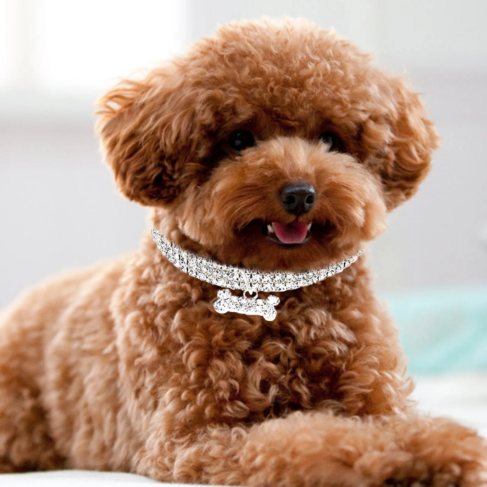 3 Pcs Pet Collar Wear-resistant Cat Necklace Portable Supply Delicate Dog Accessories Decorative