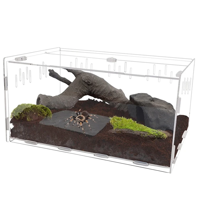 

acrylic ant nest farm lizard pet cage cover praying mantis acrylic transparent reptile displays cage reptile pet breeding box