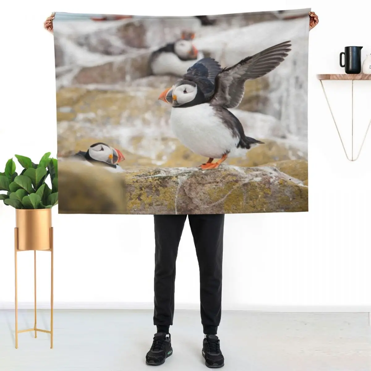 

Atlantic Puffin Photography Throw Blanket All Season Lightweight Soft Blanket for Bed