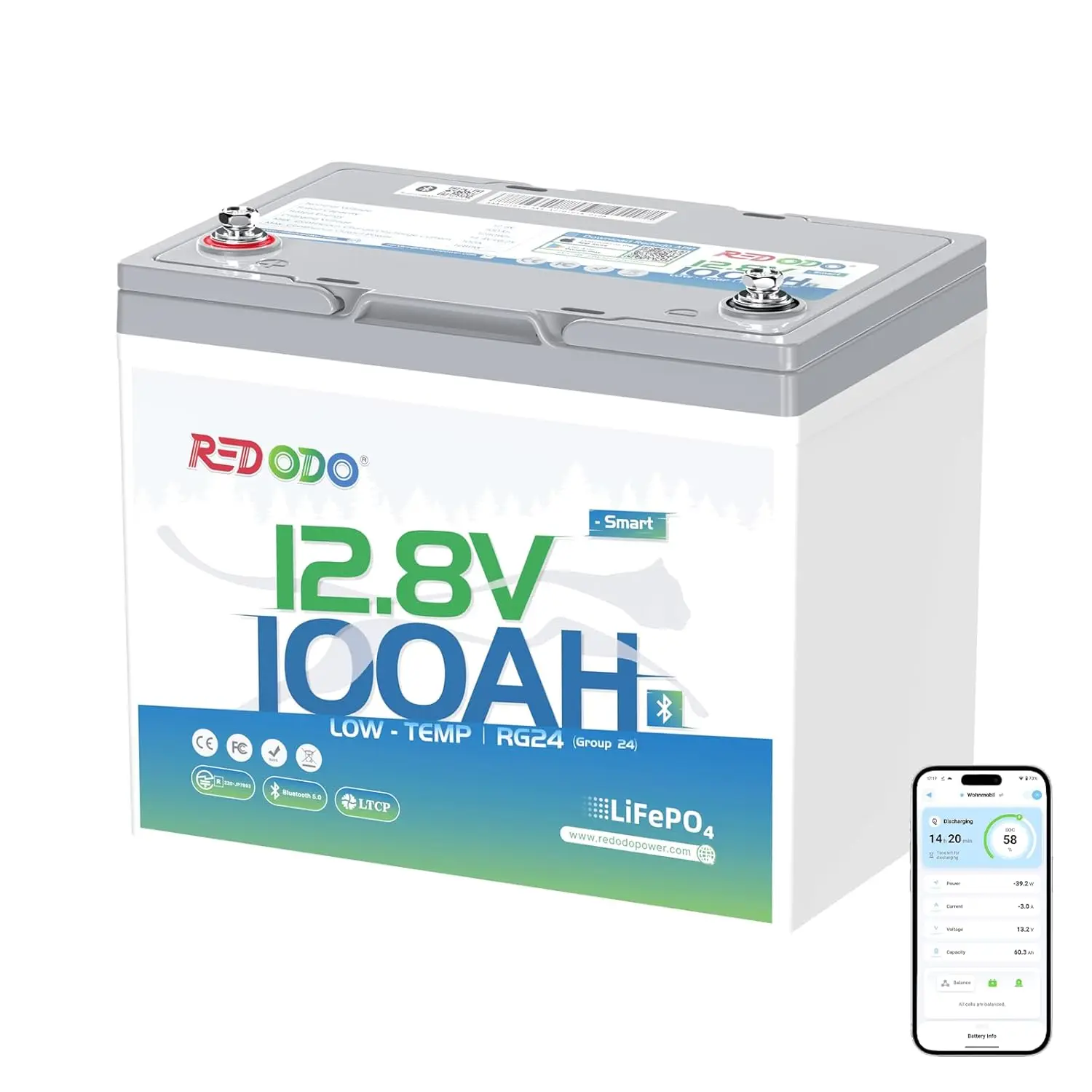 12V 100Ah LiFePO4 Bluetooth Low-Temp BCI24 Built-in 100A BMS Marine RV Solar Off-Grid, Custom