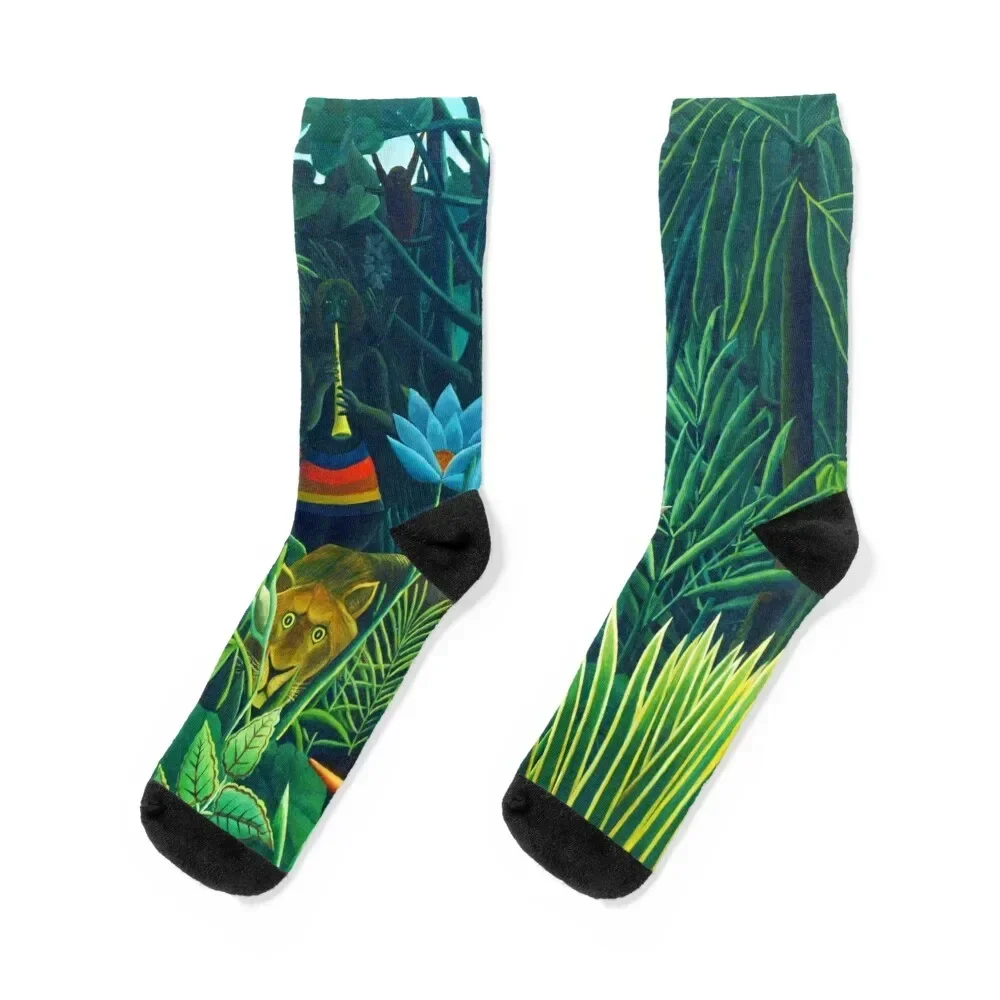 

Henri Rousseau The dream(detail), 1910 Socks heated hiking gift cycling Men's Socks Luxury Women's