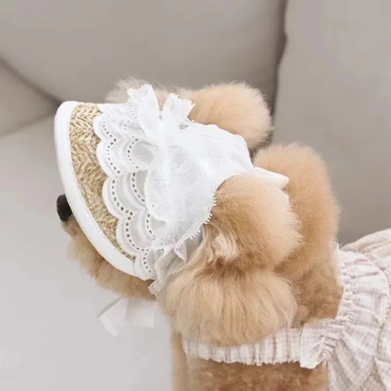 

Hat For Dog Woven Small Dog Hats Lace Soft Comfortable Pet Hats Adjustable For Walking Climbing Running Hiking Outdoor