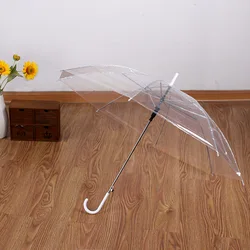 Creative small fresh long handle transparent umbrella Color straight transparent umbrella