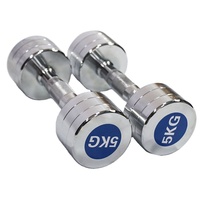 Customized Electroplating Stainless Steel Round Chromed Dumbbell Set Lifting Weights Gym Equipment 1-10KG Dumbbell