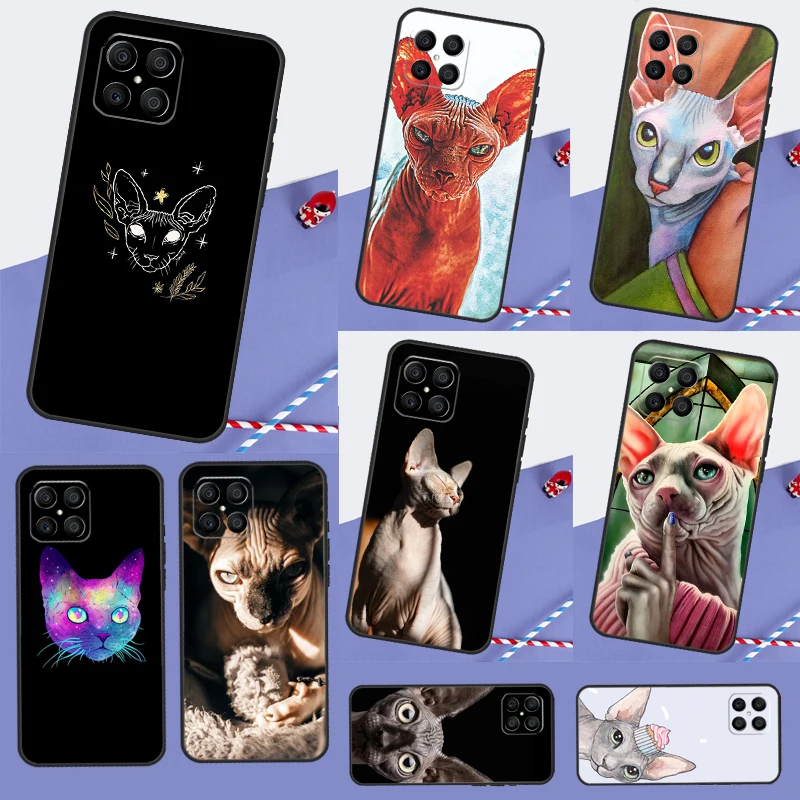 Sphynx Sphinx Cat F… - image