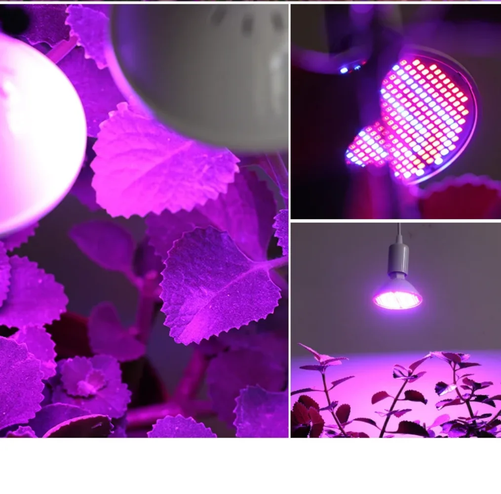 E27 LED 식물 재배등 전구 실내 식물 수경재배 꽃 - Plant Grow Light Full Spectrum 리뷰 및 가격
